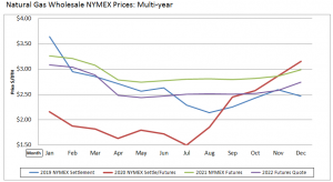 Natural Gas Wholesale Multi year pricing
