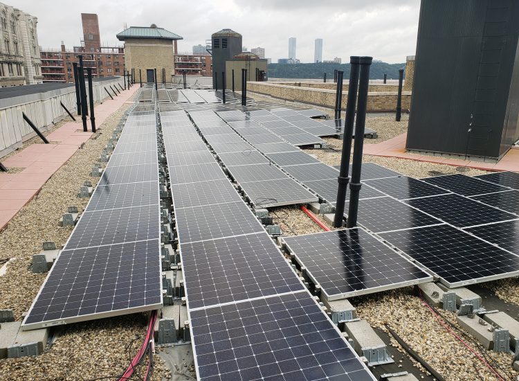 The Grinnell, Community Solar